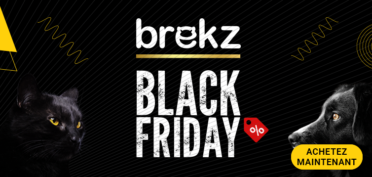 Black Friday main banner